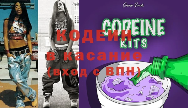 индика Баксан